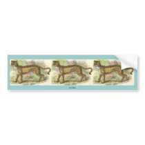 Lion-Tiger  (Felis leo Felis tigris hybrid) bumper stickers