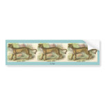 Lion-Tiger  (Felis leo Felis tigris hybrid) Bumper Sticker