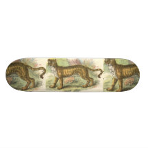 Lion-Tiger  (Felis leo Felis tigris hybrid) Skateboard Decks