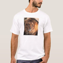 Lion t-shirts by skullyspice Lion t-shirts