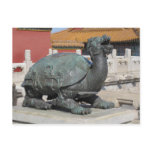 Lion Turtle Postcard Lion Turtle Postcard