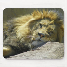 Lion up close mousepads
