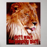 LION W/ TONGUE OUT DEEP SLEEP RESTING KING POSTER