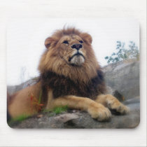 Lion - wild cats mousepad mousepads