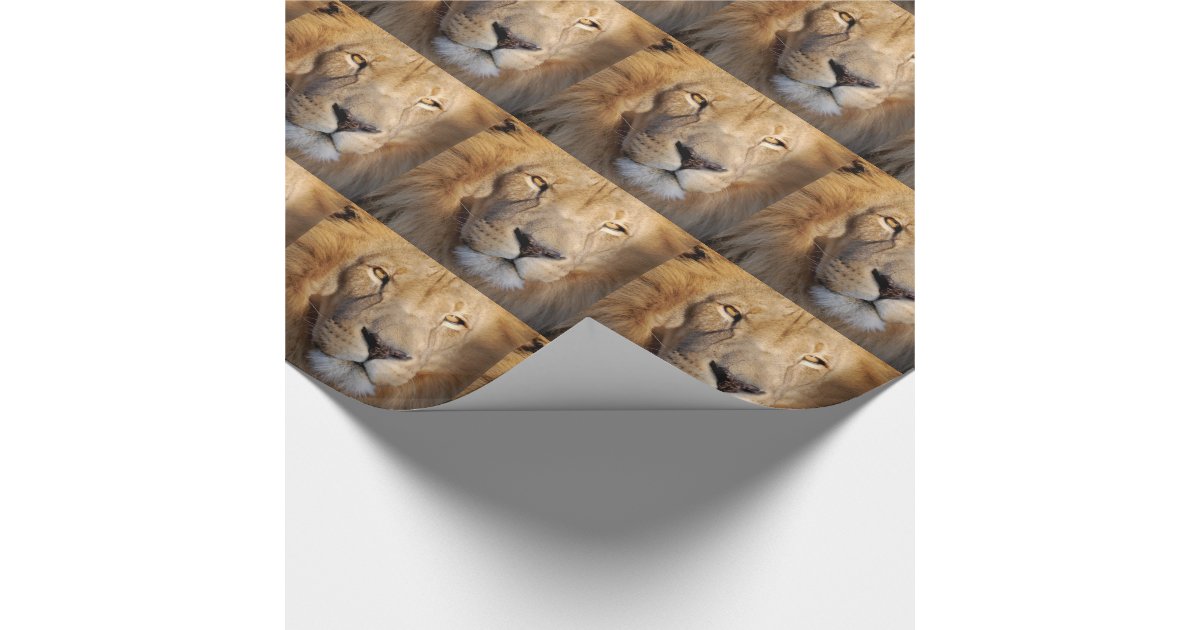 Lion Wrapping Paper Zazzle
