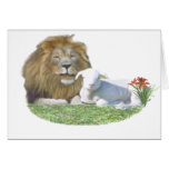 lionandlamb greeting cards