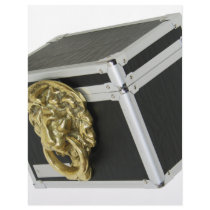 LionBox072709 letterhead