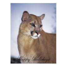 lioness2, Happy Holidays Post Card
