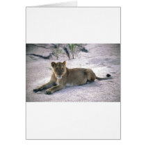 lioness837 greeting card