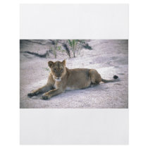 lioness837 personalized flyer