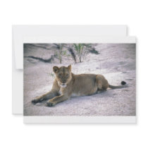 lioness837 personalized invitation