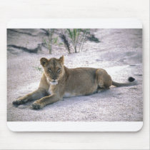 lioness837 mousepad