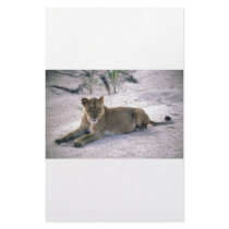 lioness837 personalized stationery