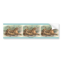 Lioness and Cubs, Felis leo bumper stickers