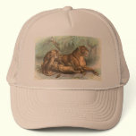 Lioness and Cubs, Felis leo hats