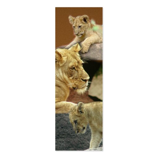Lioness and Cubs Mini Bookmark / Business Cards