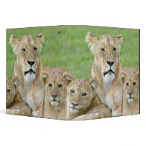 Lioness and Two Cubs, East Africa, Tanzania, Vinyl Binder