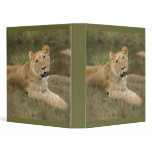 Lioness Binder