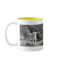 Lioness (black & white) mugs
