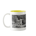 Lioness (black & white) mugs