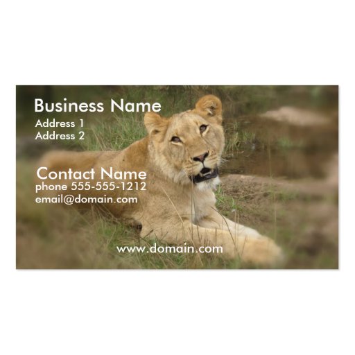 Lioness Business Card