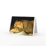 Lioness Card