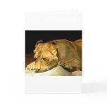 Lioness Greeting Card