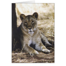 Lioness Greeting Card