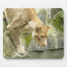Lioness I Mouse Pad