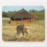 Lioness in Namibia Africa Mouse Pads Lioness in Namibia Africa Mouse Pads