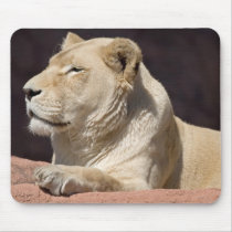 Lioness mousepads