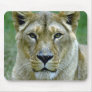 Lioness Mousepads