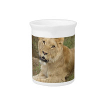 Lioness Pitcher
