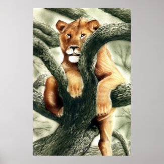 Lioness print