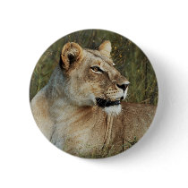 Lioness safari buttons & badges by Rowood Lioness safari buttons & badges