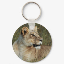 Lioness safari keychains & keyring holders by Rowood Lioness safari keychains & keyring holders
