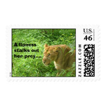 lioness stalking stamp by iluvsrk lioness stalking stamp
