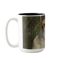 Lioness - wildlife safari mugs & cups by Rowood Lioness - wildlife safari mugs & cups