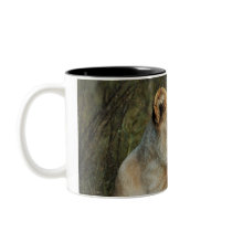 Lioness - wildlife safari mugs & cups