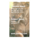 Lioness with Tongue Out Business Cards