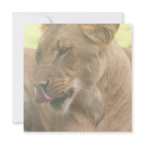 Lioness with Tongue Out Invitations