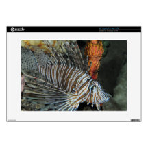 Lionfish 15" Laptop Skins