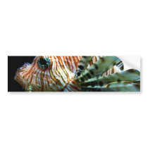 Lionfish Bumper Sticker bumper stickers by thehatch Lionfish Bumper Sticker bumper stickers