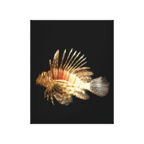 Lionfish