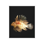 Lionfish Gallery Wrap Canvas