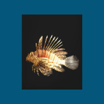 Lionfish canvas prints