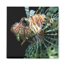 Lionfish Magnet