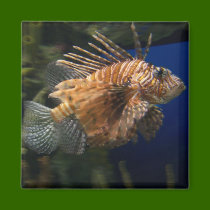 Lionfish Magnet by BoyScoutTroop102 Lionfish Magnet