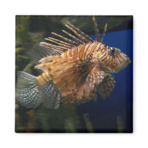 Lionfish Magnet by BoyScoutTroop102 Lionfish Magnet