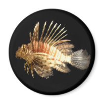 Lionfish Fridge Magnets